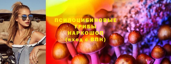 jwh Карпинск